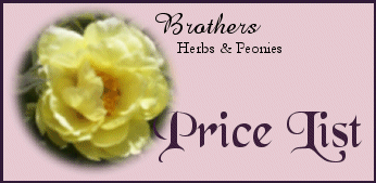 Price Page